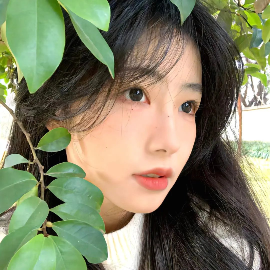 泰山与珍妮