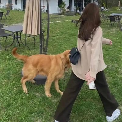无滤女子